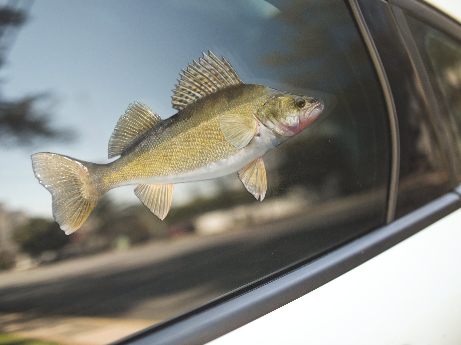 Walleye Sticker Decal Lives Matter 4 Tall Die Cut Bass Fly Fishing Crappie XO - Foto 13