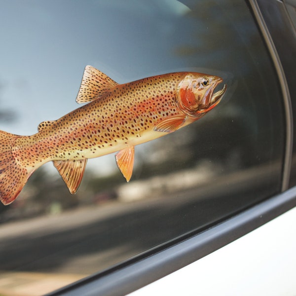 Cutthroat Trout, Cutthroat Trout Decal, Trout, Trout Decal, Cutthroat Trout Sticker