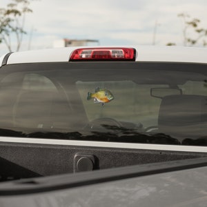 Bluegill, Bluegill Decal, Bluegill Sticker, Panfish image 3