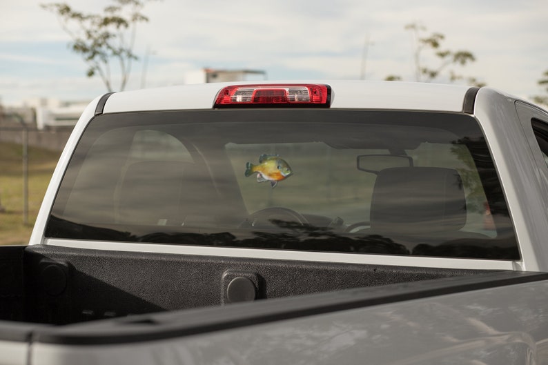 Bluegill, Bluegill Decal, Bluegill Sticker, Panfish image 3