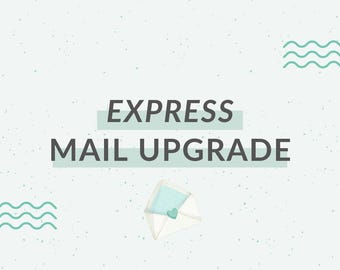 Express Mail Shipping Upgrade