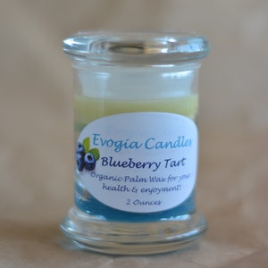 Choice of Organic Palm Wax 2 ounce Container Candles