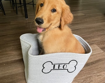 Könnte beinhalten: Ein Golden Retriever-Welpe sitzt in einem grauen Hundesofa aus Seil mit dem Namen "LEO", der auf der Vorderseite gestickt ist.