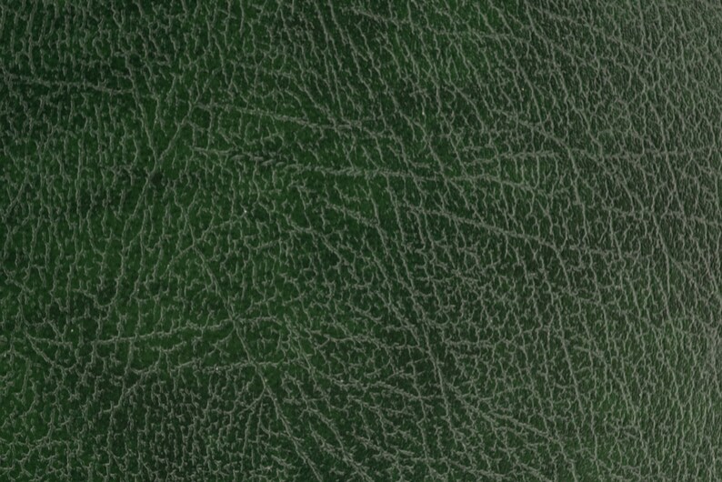 Puede incluir: Primer plano de una superficie de cuero texturizado de color verde oscuro. El cuero presenta un patr&oacute;n agrietado detallado con reflejos verdes m&aacute;s claros, creando una apariencia natural y envejecida. La imagen muestra la textura y las variaciones de color del material.