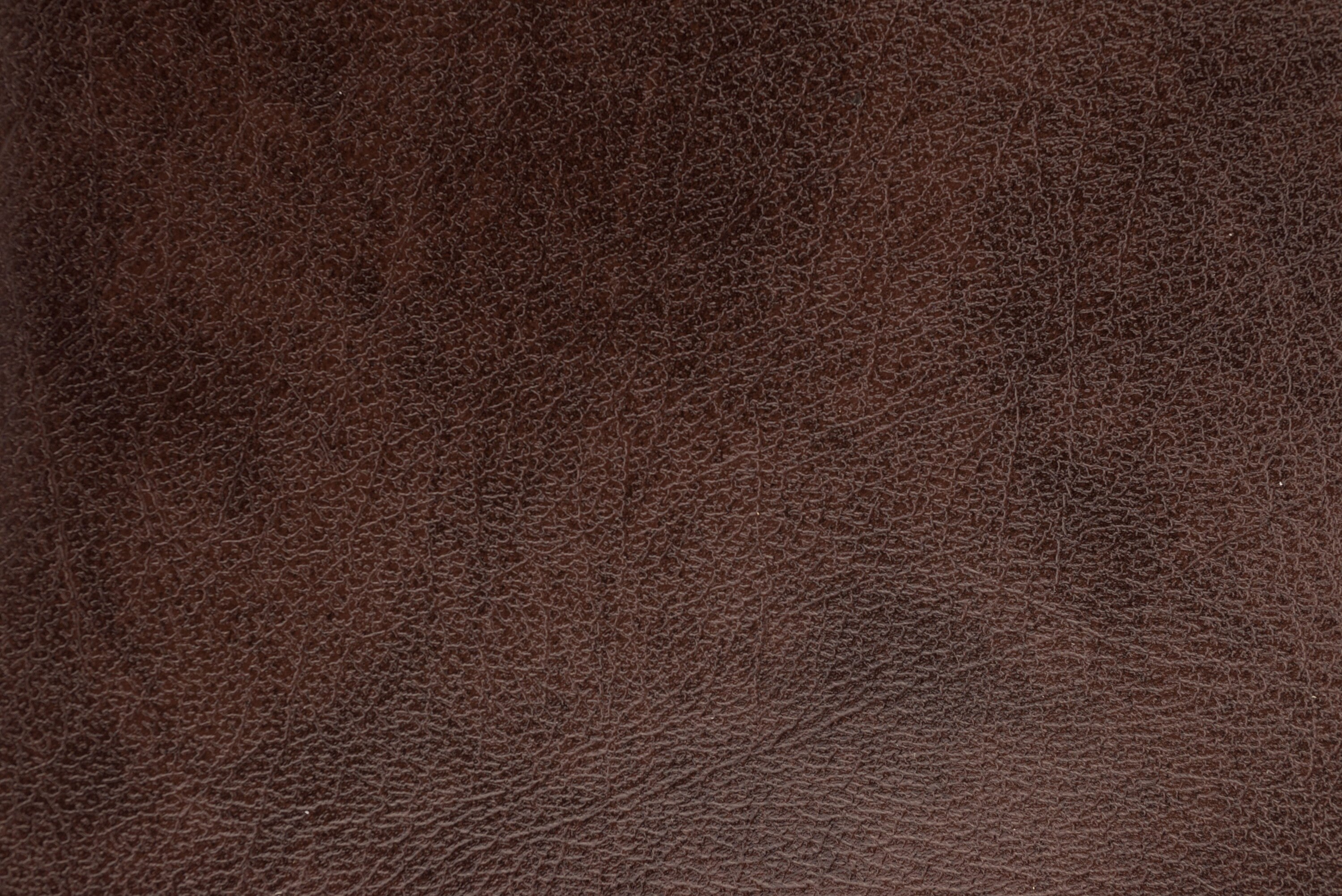 CONTAX 137MD QUARTZ 革張り Contax 139 Quartz、137 MD、137 MA、RTS 交換用レザーレット