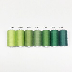 Pu&ograve; includere: Un set di otto bobine di filo in tonalit&agrave; di verde, dal verde chiaro al verde scuro. Le bobine sono etichettate con i numeri 21240, 21108, 21162, 21163, 21161, 21230, 21104.