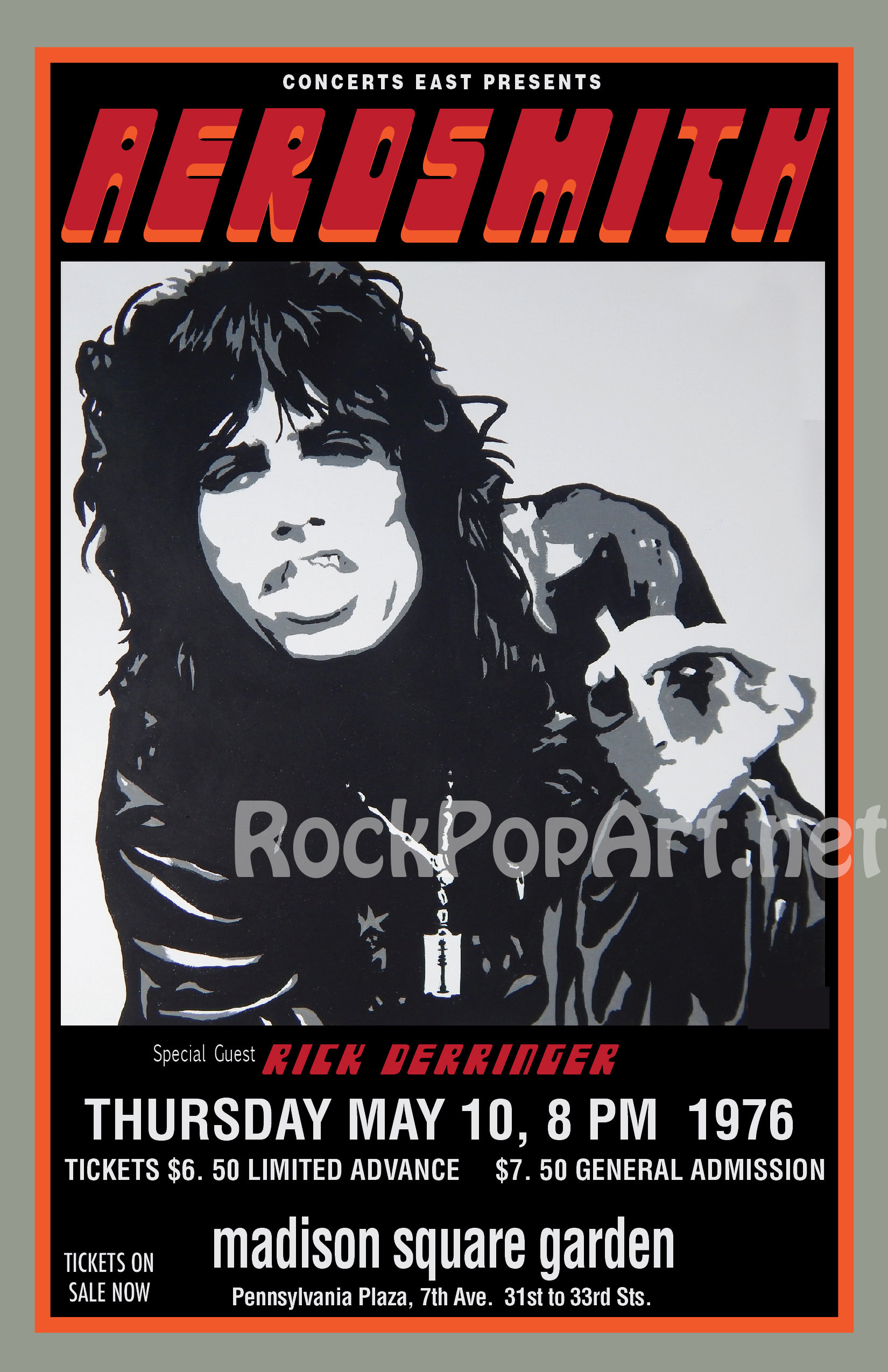 Aerosmith 1977 Japan Tour Book w Ticket Steven Tyler Joe