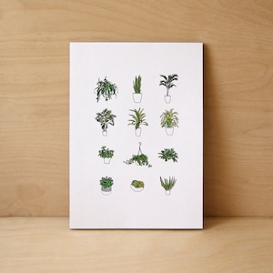 House Plants Limited Edition Print image 1