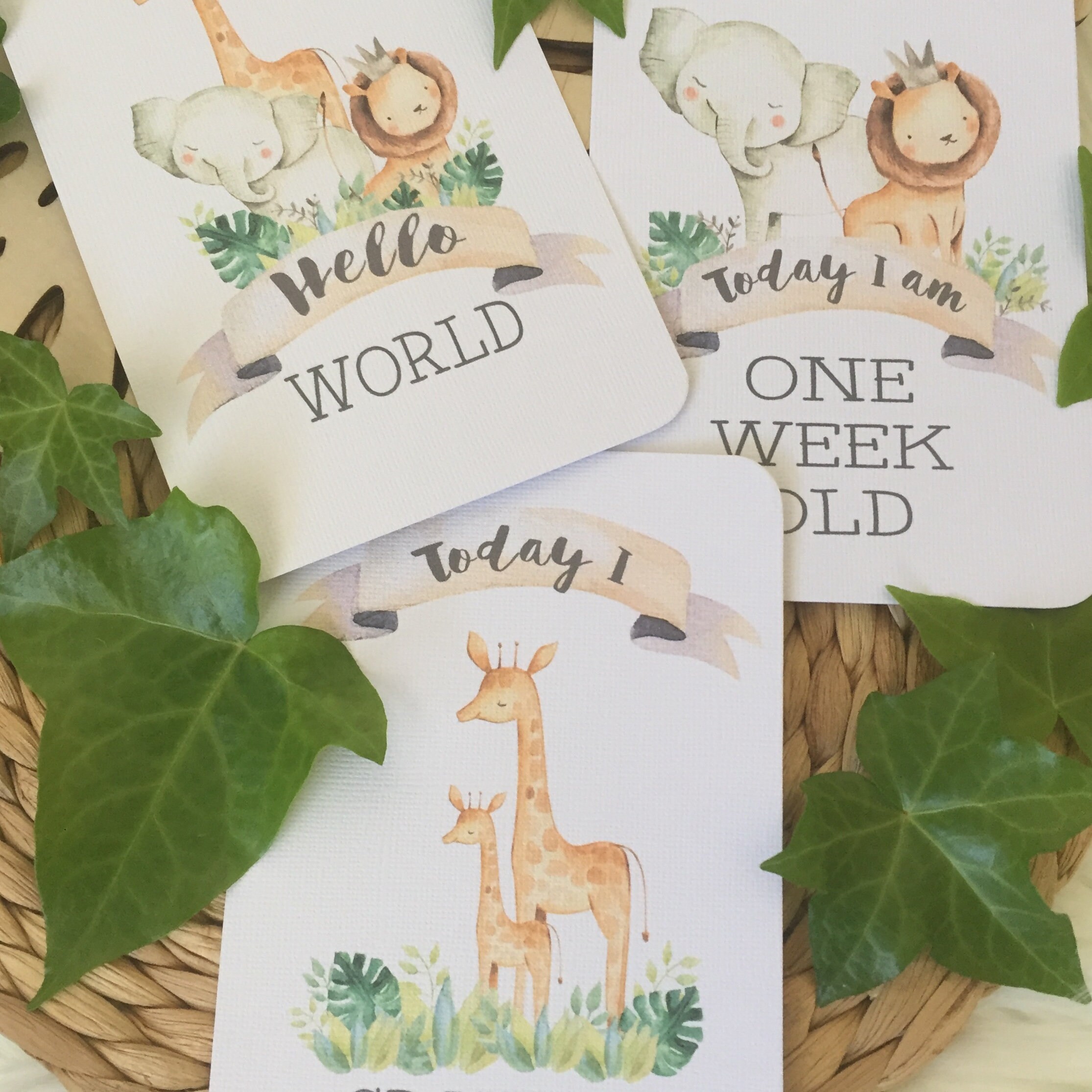 BABY MILESTONE CARDS Safari Jungle Baby Keepsake Baby | Etsy