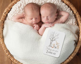 TWIN MILESTONE CARDS- Woodland Friends - Baby Keepsake- Baby Photo Cards- Baby shower gift