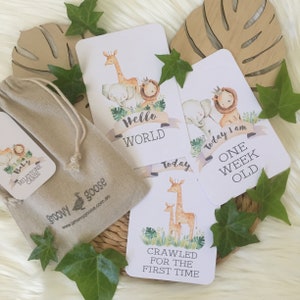 CARTES BÉBÉ MILESTONE - Safari Jungle - Souvenir bébé - Cartes photo bébé - Cadeau de shower de bébé