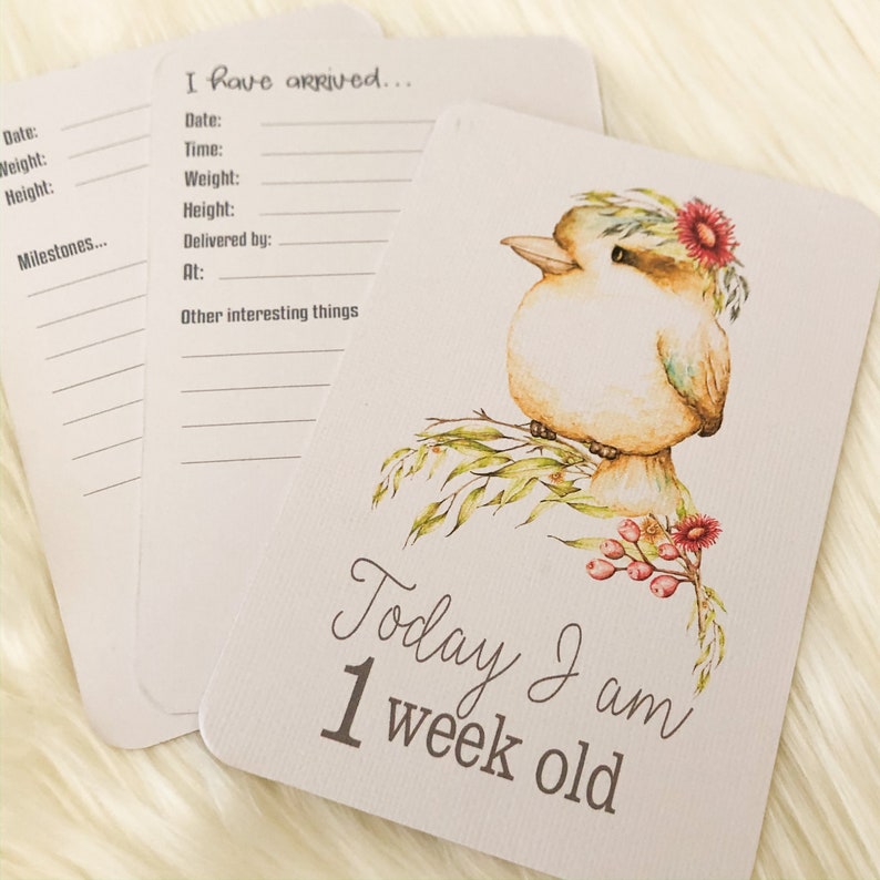 Baby Photo Cards BABY MILESTONE CARDS Baby Keepsake Australian Baby Animals Baby shower gift
