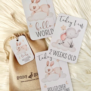 CARTES BÉBÉ MILESTONE - Nuages d'animaux - Souvenir de bébé - Cartes photo bébé - Cadeau de douche de bébé