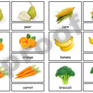 Frutta e Verdura Safari Toob Schede Montessori in 3 parti per il file PDF Safari Toob