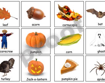 Fall/Autumn Vocabulary Cards and Silhouette match--Montessori Autumn PDF file