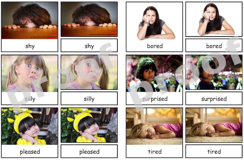 Emotions Montessori 3-part Cards - Etsy