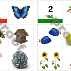 Montessori Math Counting and Sorting PDF file