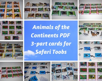 Animals of the Seven Continents Montessori 3-part cards PDF -- Montessori Geography -- Seven Continents