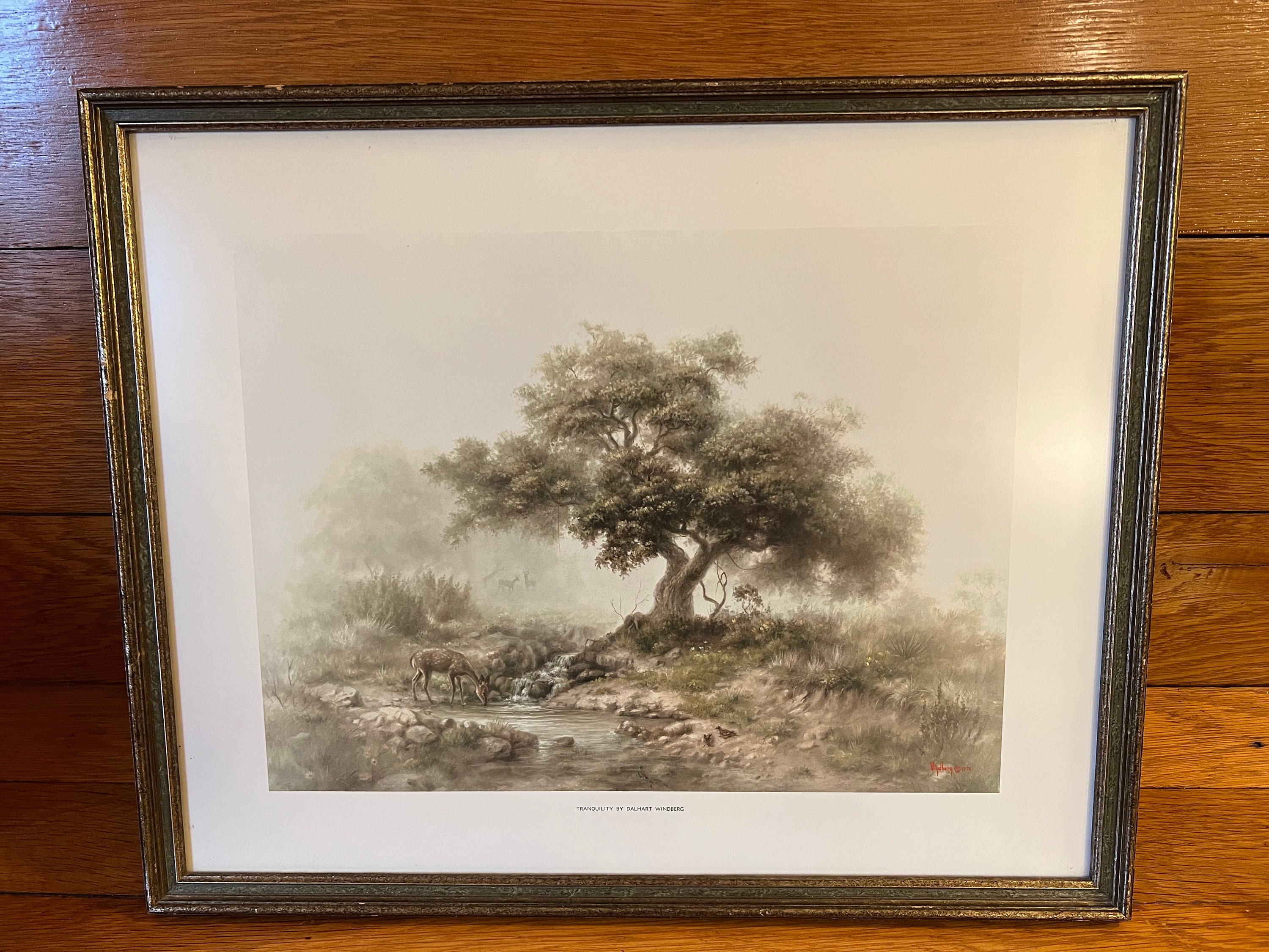 Vintage Tranquility Framed Print by Dalhart Windberg Cabin Country