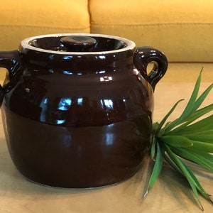 May include: A brown glazed ceramic crock with a lid and two handles. The crock is sitting on a light brown surface with a green plant in the foreground.