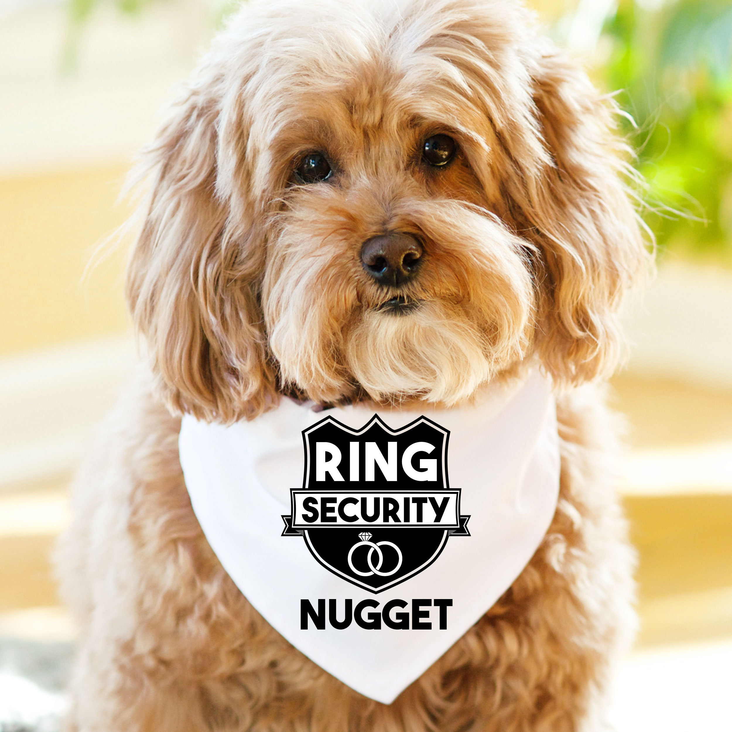 Dog ring 2025 bearer bandana