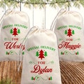 Christmas Gift Bags Personalized From Santa Gift Bags, Holiday Favor Bags - Special Delivery Christmas Gift Wrap