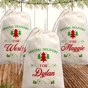 May include: Three off-white drawstring gift bags made of fabric. Each bag features the green text "SPECIAL DELIVERY" above a red and green Christmas tree graphic, the red text "FOR", and a personalized name in red script, with decorative green swirls.