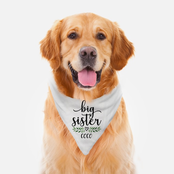 Big Brother Dog Bandana - New Baby Announcement for Dogs