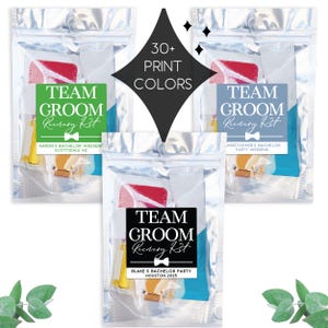 Custom Team Groom Recovery Kit Bachelor Party Favor Labels + Resealable Bags, Custom Groomsmen Hangover Kit Bags, Wedding Party Gift