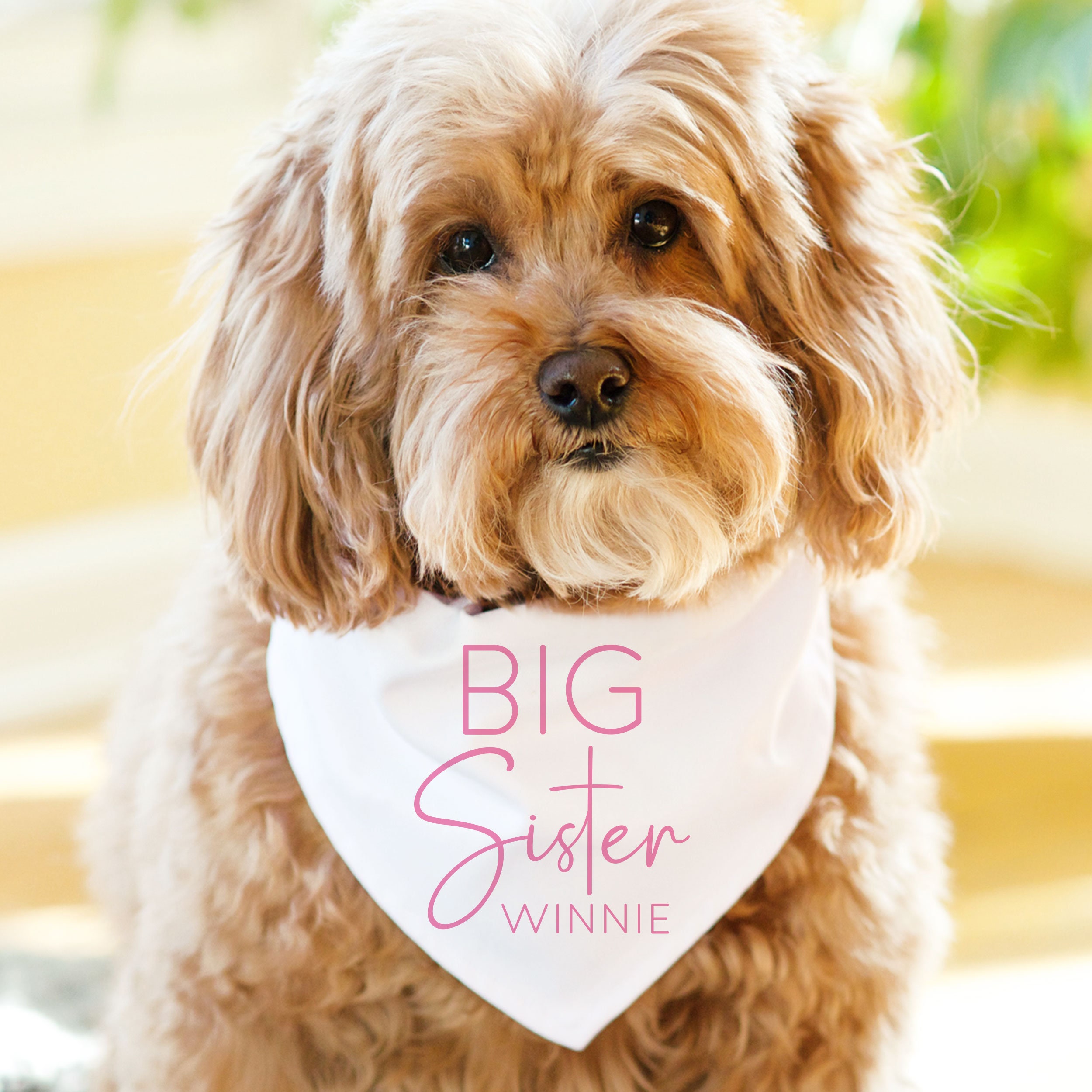 Big sister sale dog shirt