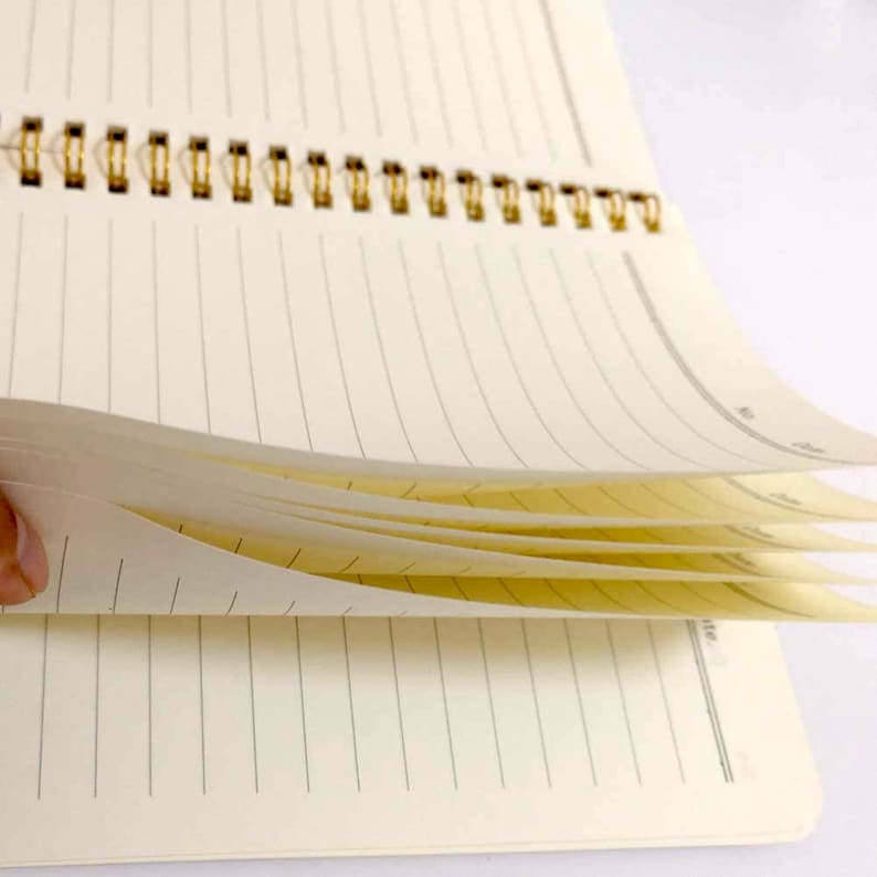 May include: A spiral bound notebook with lined pages. The pages are fanned out to show the cream colored paper.