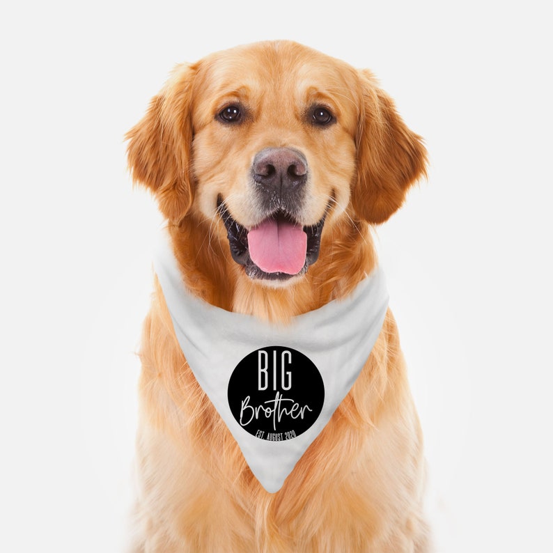 Big Brother Dog Bandana New Baby Announcement for Dogs Etsy
