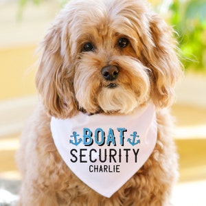 Dog security outfit outlet