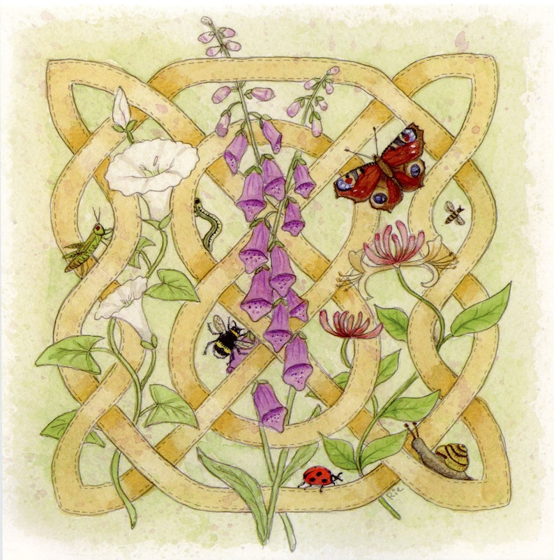 Celtic Knot Card Celtic Flora Hedgerow Wild Flowers With Etsy