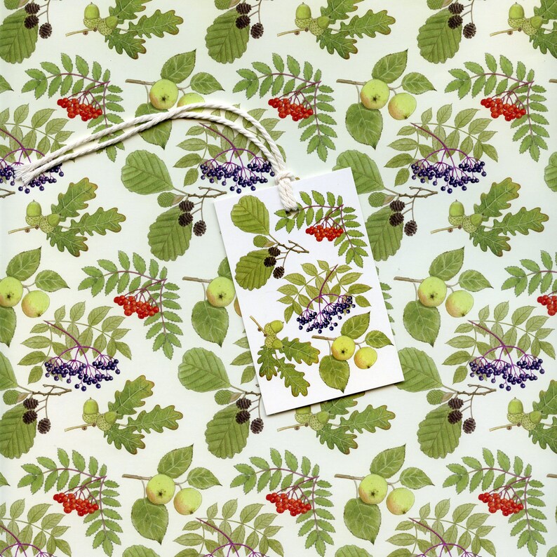 May include: A gift tag with a white string, featuring a botanical illustration of green leaves, red berries, green apples, and purple berries. The background is a repeating pattern of the same botanical elements.