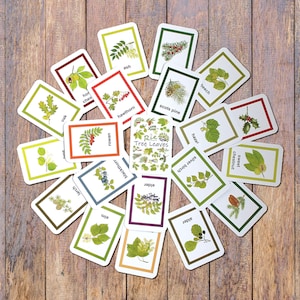 May include: A set of flashcards illustrating different tree leaves, laid out on a wooden background. Each card shows a leaf and its name, including "oak," "ash," and "hawthorn." A small booklet in the middle is titled "Rie Tree Leaves."