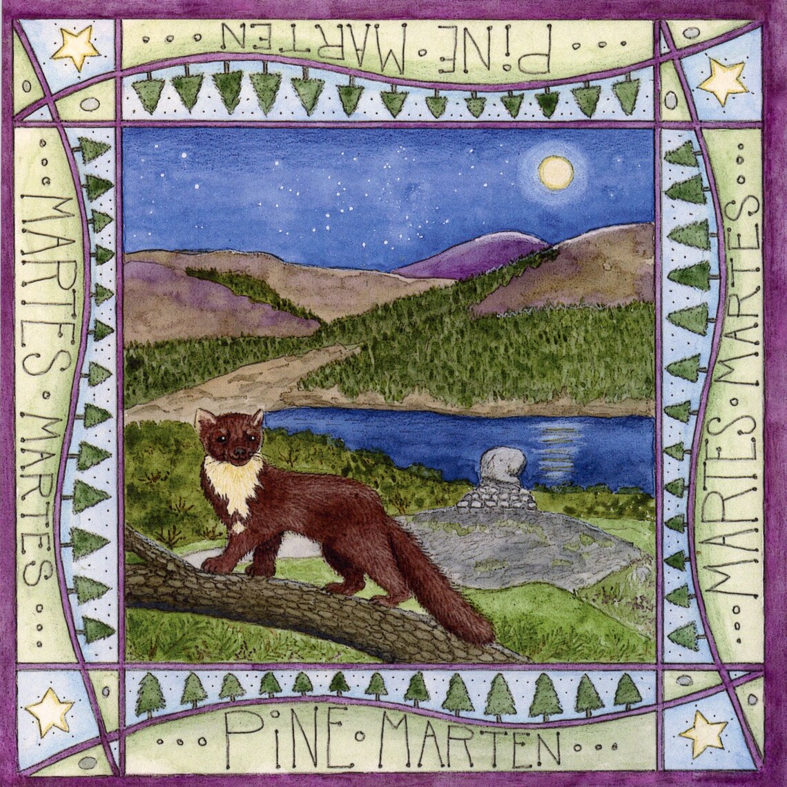 Pine Marten Card, Blank Square Greetings Card Featuring Pine Marten ...
