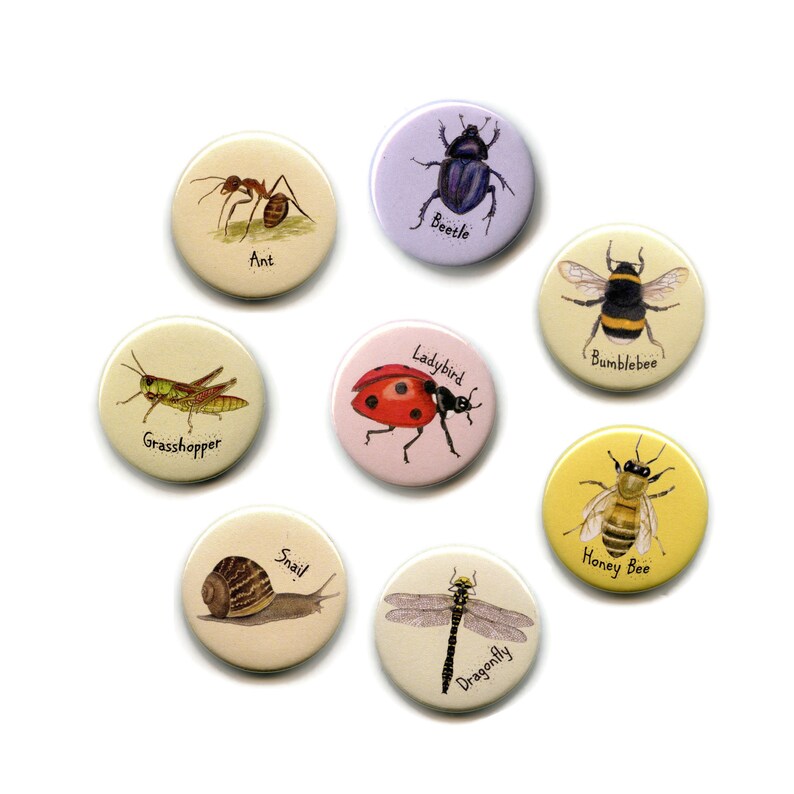 Bug Set of Eight 38mm Round Button Invertebrates Etsy