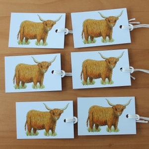 May include: Six rectangular gift tags featuring a watercolor illustration of a Highland cow. The cows are depicted with shaggy, reddish-brown fur, large horns, and standing on green grass. Each tag has a hole with a white string attached.