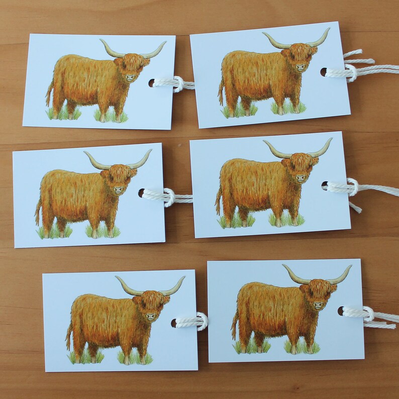 May include: Six rectangular gift tags featuring a watercolor illustration of a Highland cow. The cows are depicted with shaggy, reddish-brown fur, large horns, and standing on green grass. Each tag has a hole with a white string attached.