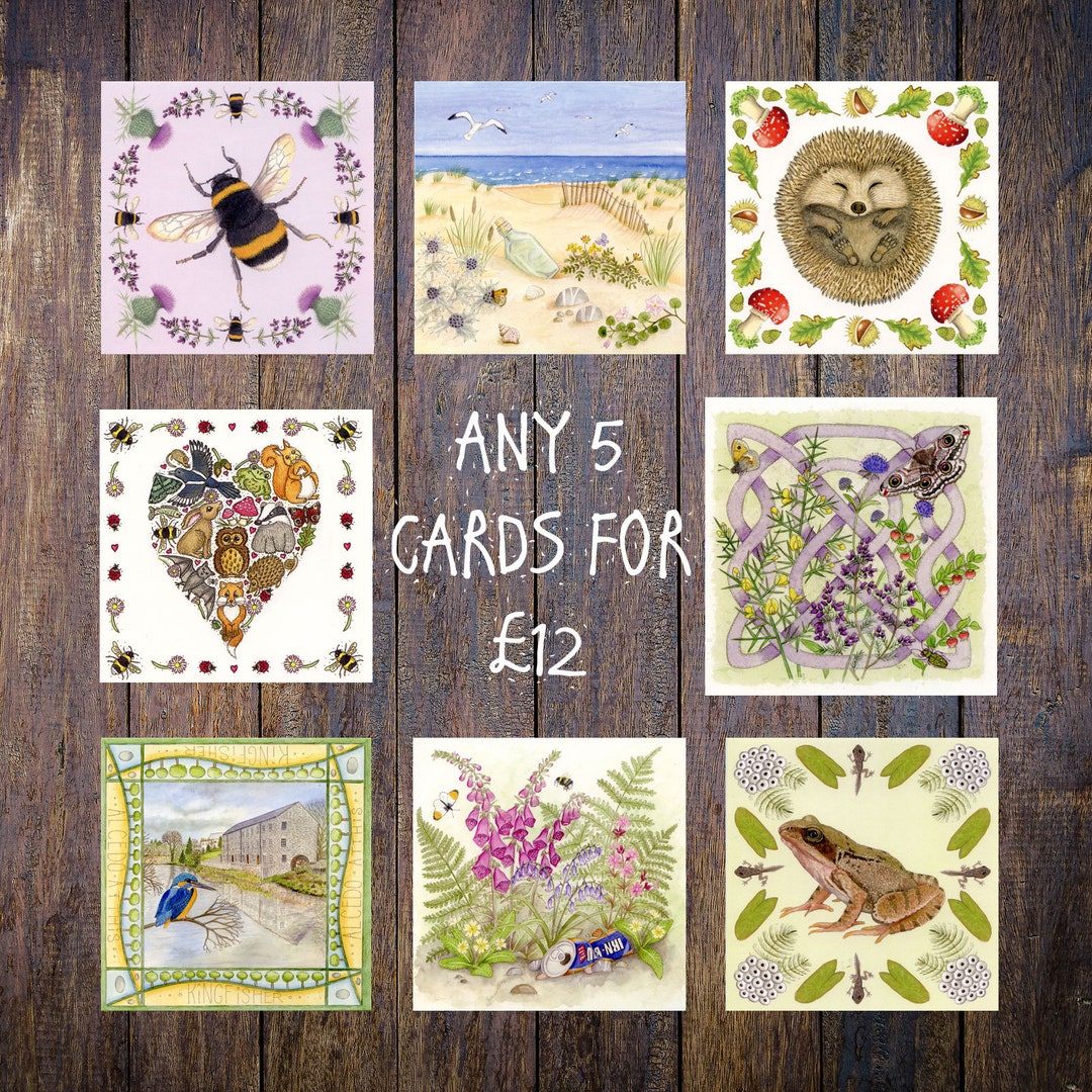 Mixed Selection Offer Any Five of My Nature Wildlife Cards - Your ...