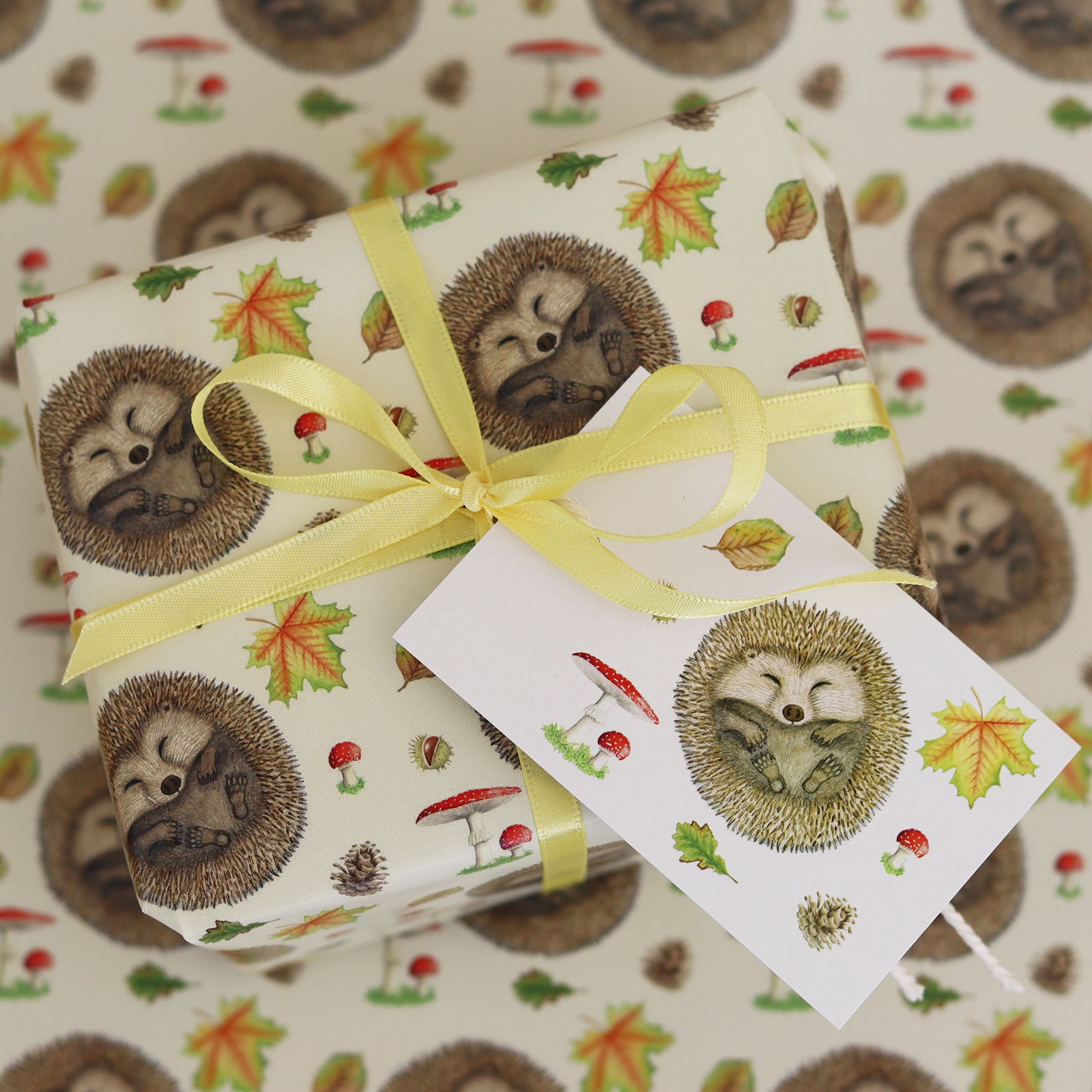 Hedgehog Wrapping Paper Roll Or Folded By The Wrapping Paper Shop