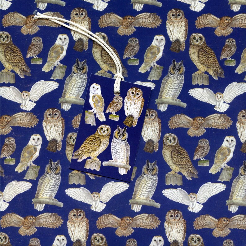 May include: A bookmark with a string attached, featuring illustrations of various owls. The background is a dark blue with a repeating pattern of owls in different poses. The bookmark itself has several owl illustrations.