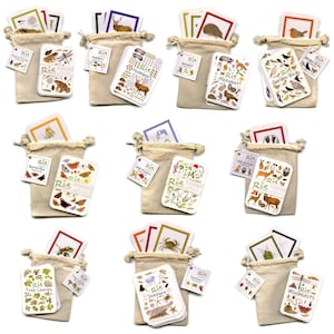 British Nature Flash Cards, Childrens Identification Cards Animals Flowers Leaves Birds Butterfly Bugs Wildlife Nature Education