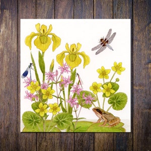 Wetland Wildflower Card, British Wild Flowers, Frog & Dragonflies Blank Square Greetings Card Yellow Iris, Ragged Robin, Marsh Marigold