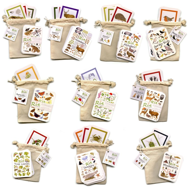 Garden Birds Flash Cards, 20 Childrens Wildlife Identification Cards ...