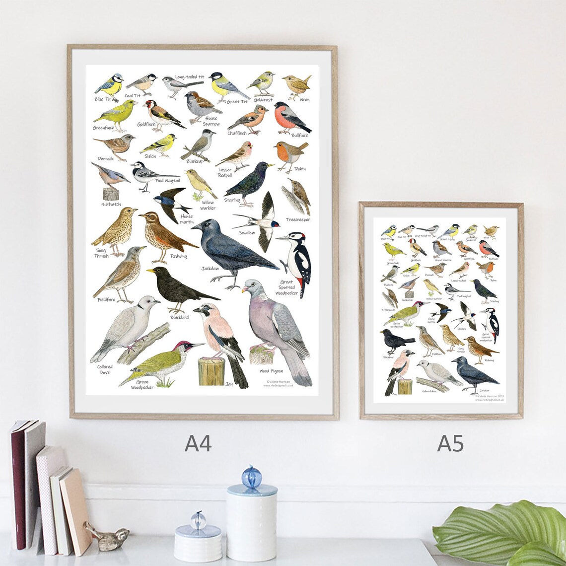 British Garden Birds A3 Identification Poster Wildlife Chart | Etsy UK