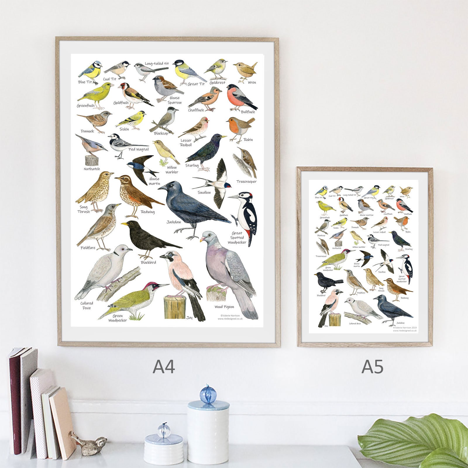 British Garden Birds A3 Identification Poster, Wildlife Chart, Nature ...