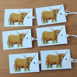 May include: A series of six rectangular gift tags. Each tag features a detailed illustration of a Highland cow with long horns and shaggy brown fur, standing on green grass. The tags are connected by white string.
