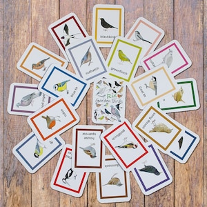 Garden Birds Flash Cards, 20 Childrens Wildlife Identification Cards, Home Schooling, Nature Education Flashcards